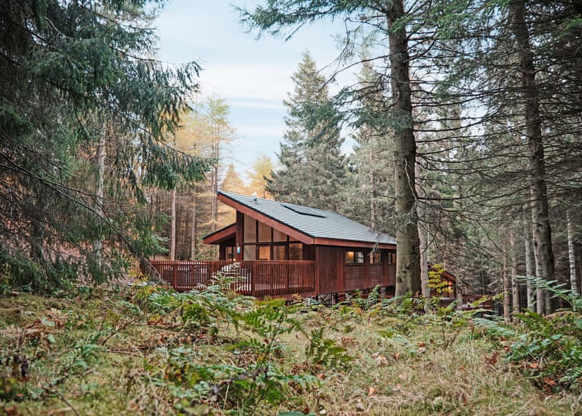 Glentress Forest, Peebles