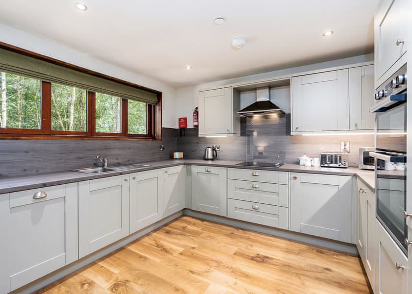 Golden Oak 4 (Pet) - Glentress Forest, Peebles