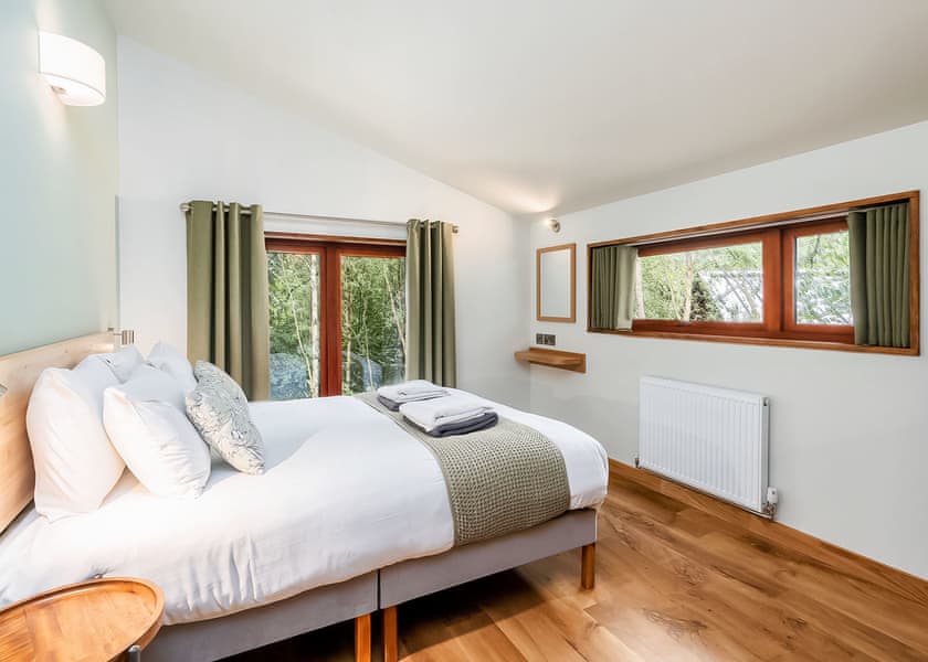 Golden Oak 4 (Pet) - Glentress Forest, Peebles
