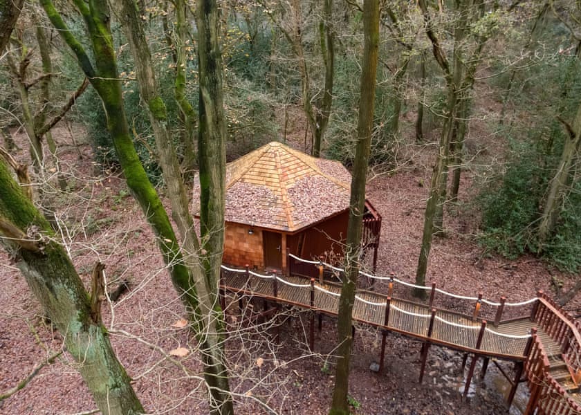 Golden Oak 5 Bed Treehouse Pet - Glentress Forest, Peebles