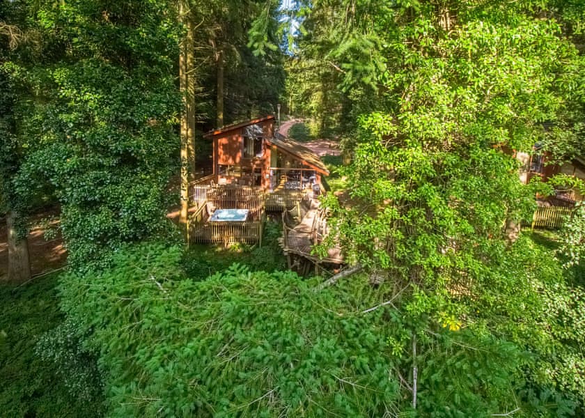 Golden Oak 5 Bed Treehouse Pet - Glentress Forest, Peebles