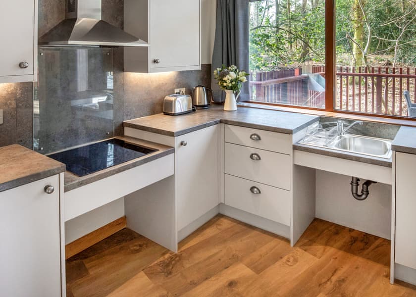 Silver Birch 2 Bed Pet (DDA) - Glentress Forest, Peebles