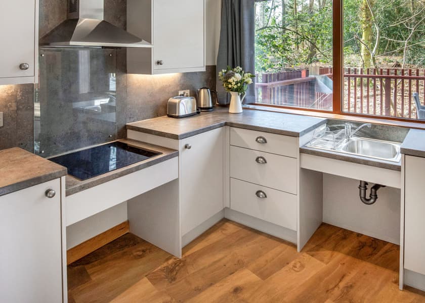 Silver Birch 3 Bed Pet (DDA) - Glentress Forest, Peebles