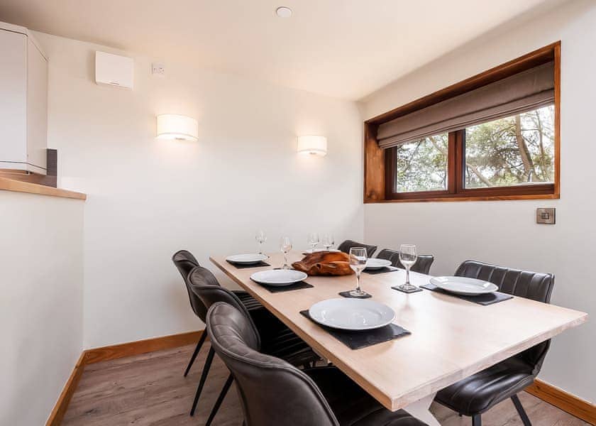 White Willow Premium 3 (Pet) - Glentress Forest, Peebles