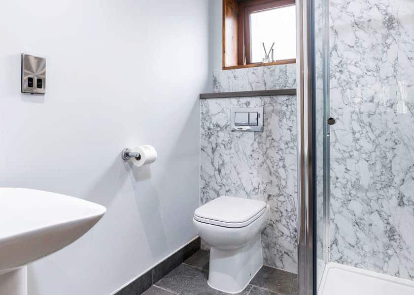 White Willow Premium 3 (Pet) - Glentress Forest, Peebles