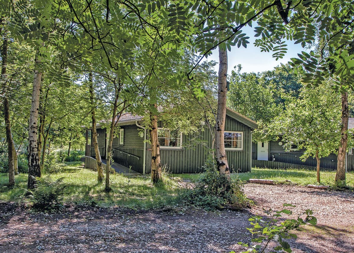 Great Wood Lodges - Holiday lodge in Yorkshire - Image 4