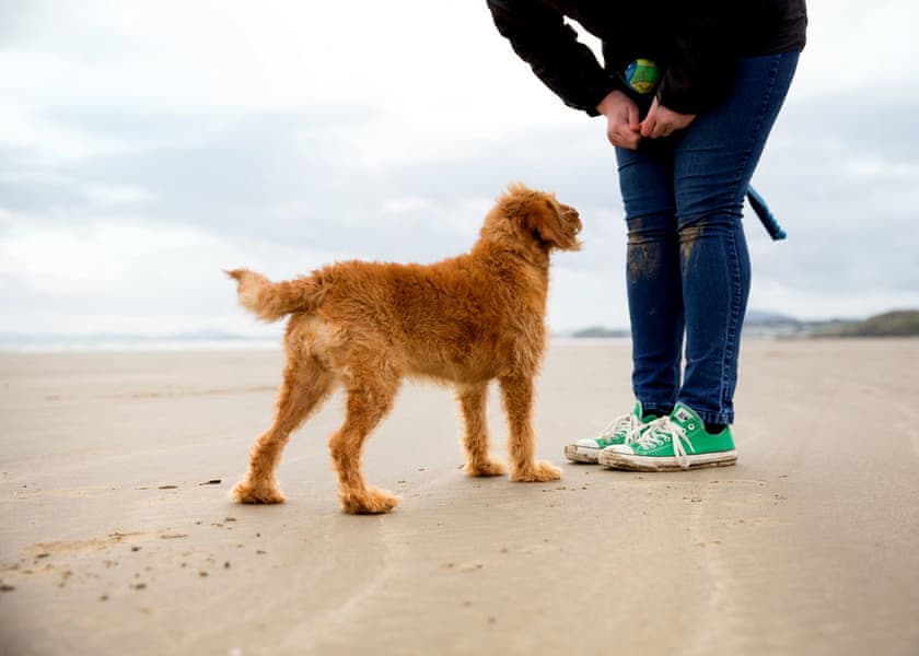 Greenacres, Porthmadog