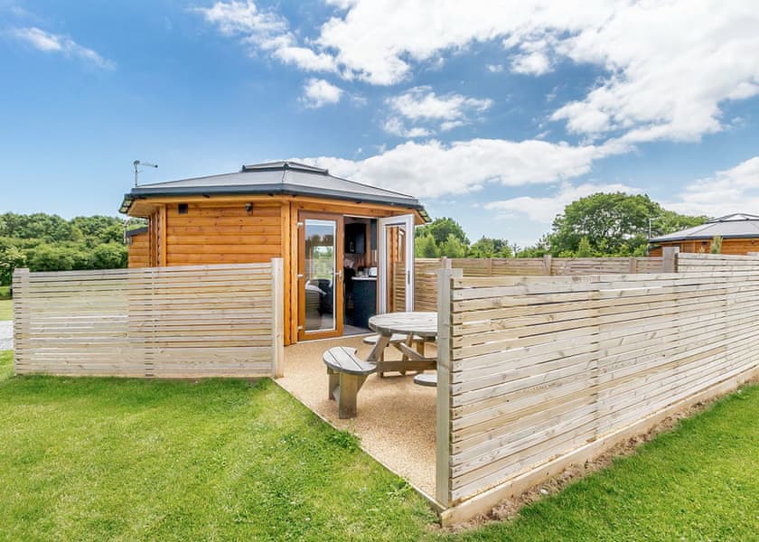 Starlight Wren - Green Meadows Park, Fitling, Nr Hornsea