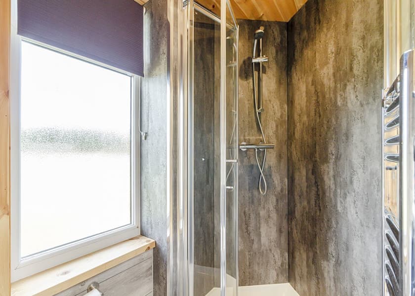 Starlight Wren - Green Meadows Park, Fitling, Nr Hornsea