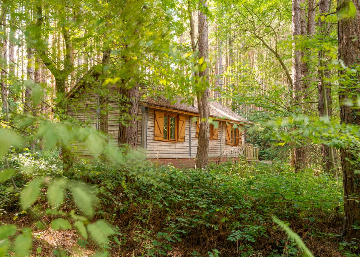 Griffon Forest - Holiday Lodge in Yorkshire - Image 3