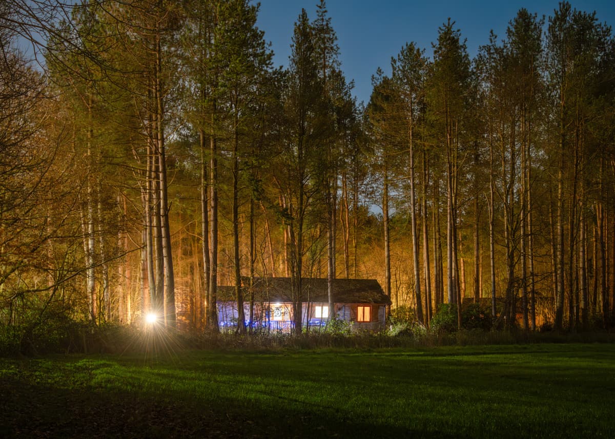 Griffon Forest - Holiday Lodge in Yorkshire - Image 5