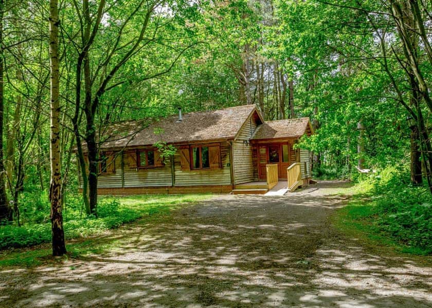 Gardeners Lodge (Pet Friendly) - Griffon Forest, Flaxton, York