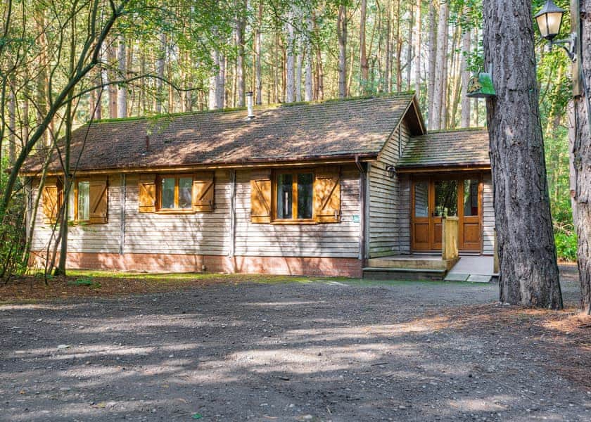Keepers Lodge - Griffon Forest, Flaxton, York