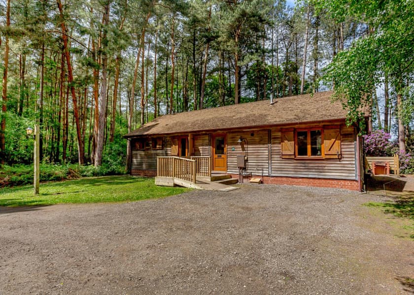 Woodmans Lodge (Pet Friendly) - Griffon Forest, Flaxton, York