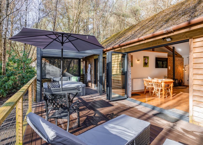 Poachers Premier - Griffon Forest, Flaxton, York