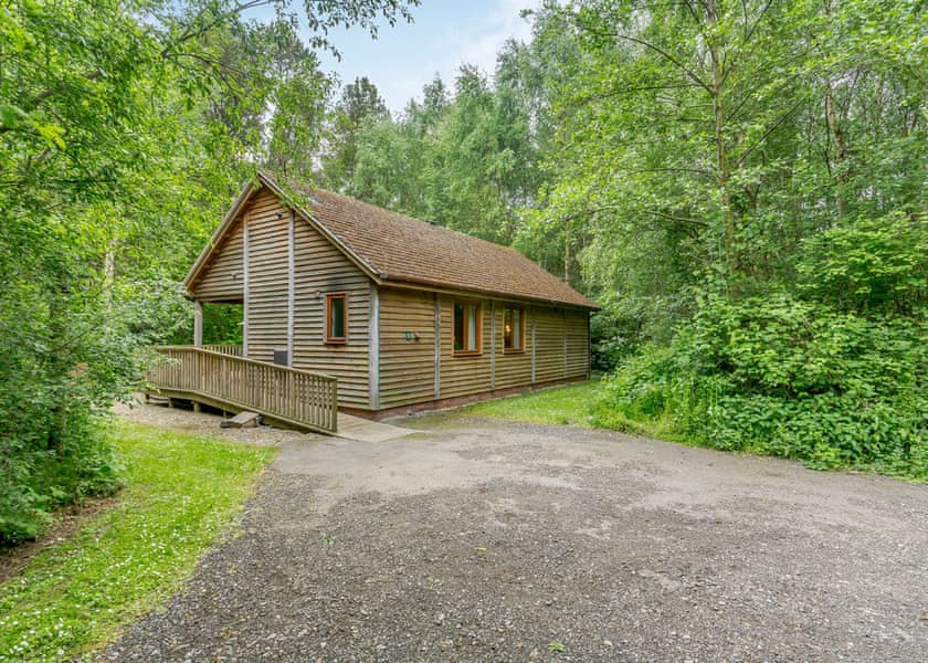 Poachers Premier (Pet Friendly) - Griffon Forest, Flaxton, York