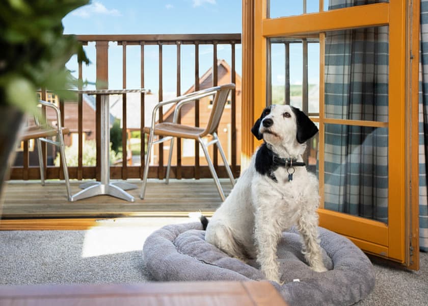4 Person Scandinavian Lodge (Pet) - Landal Gwel an Mor, Feadon Lane, Portreath