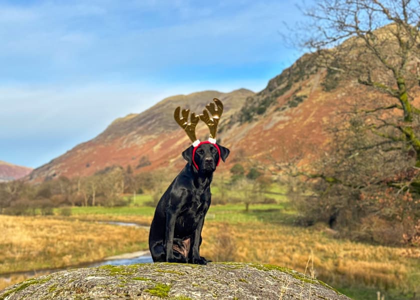 Hartsop Fold Lodges, Patterdale, Ullswater