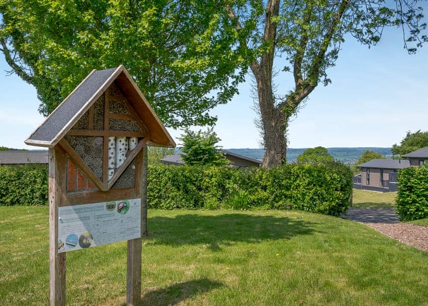 Hawkchurch Resort and Spa, Axminster