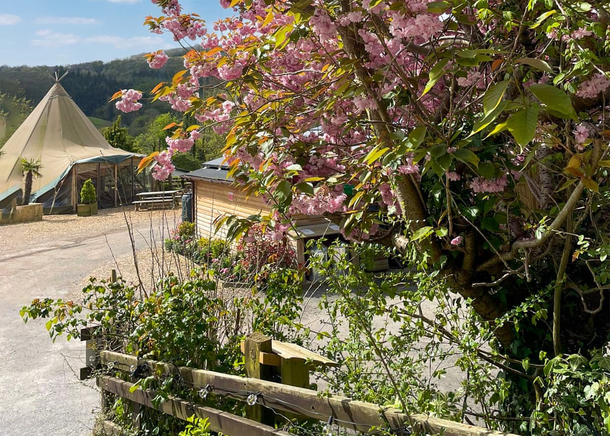 Herons Lake Retreat - Holiday lodge in North Wales - Image 3