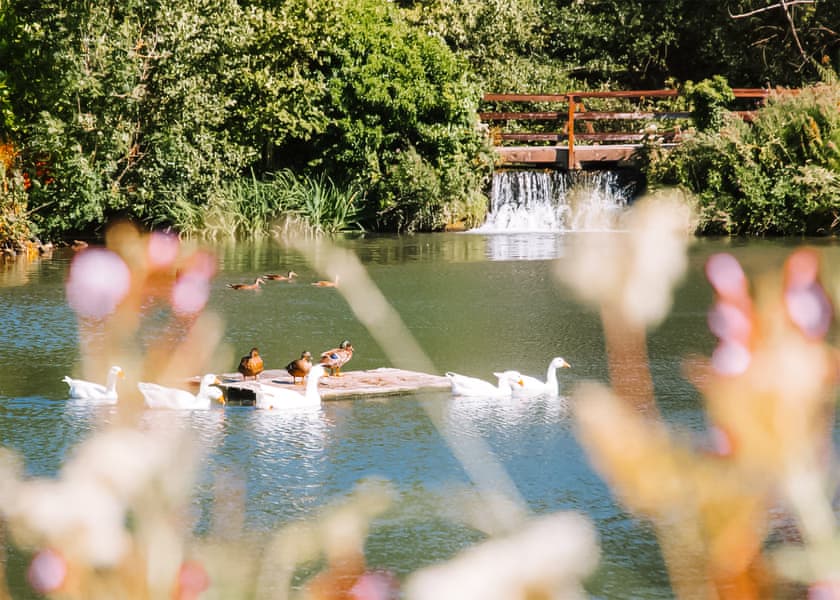 Herons Lake Retreat, Caerwys, Flintshire