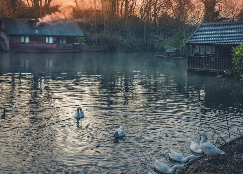 Woodpecker Lakeside Lodge - Herons Lake Retreat, Caerwys, Flintshire