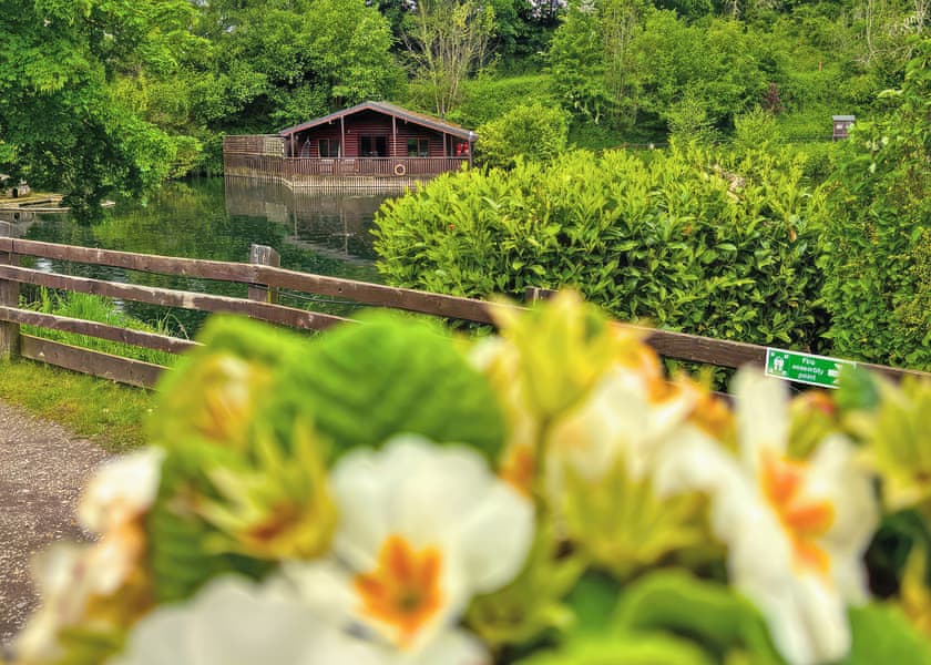 Moorhen Cottage - Herons Lake Retreat, Caerwys, Flintshire