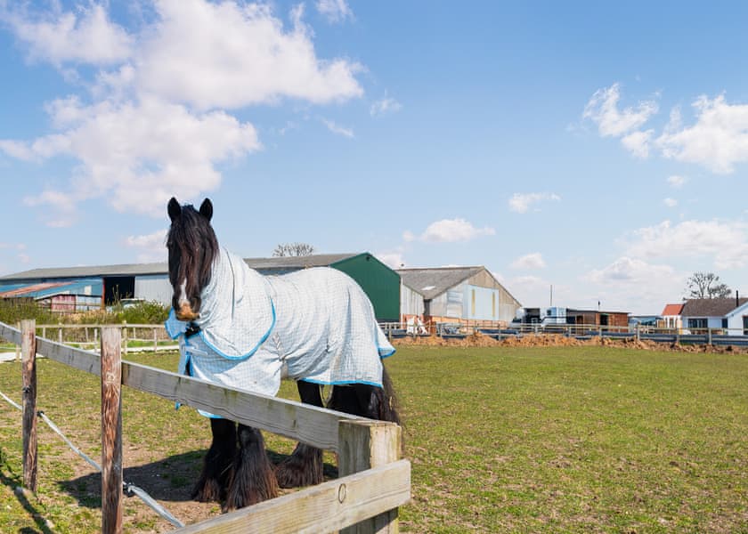 Helsey Farm Cottages, Helsey