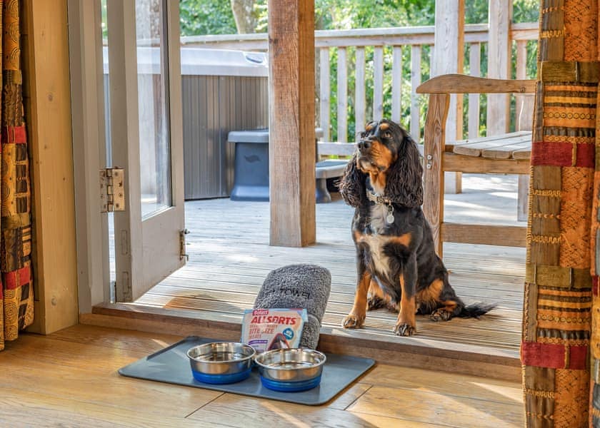 Henlle Hall Woodland Lodges, Henlle, Nr Oswestry