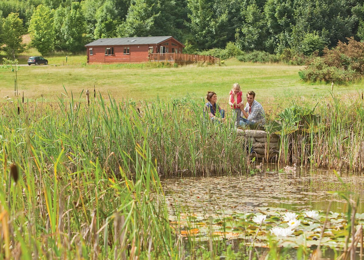 Warren Lodges - Holiday Lodge in East Anglia - Image 1