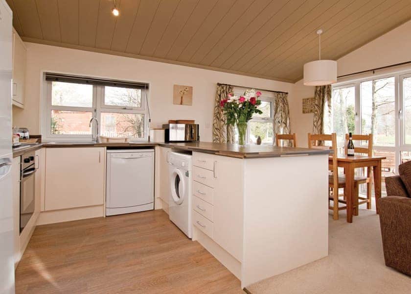 Hornbeam Lodge 4 - Herons Brook Retreat Lodges, Narberth, Nr Tenby