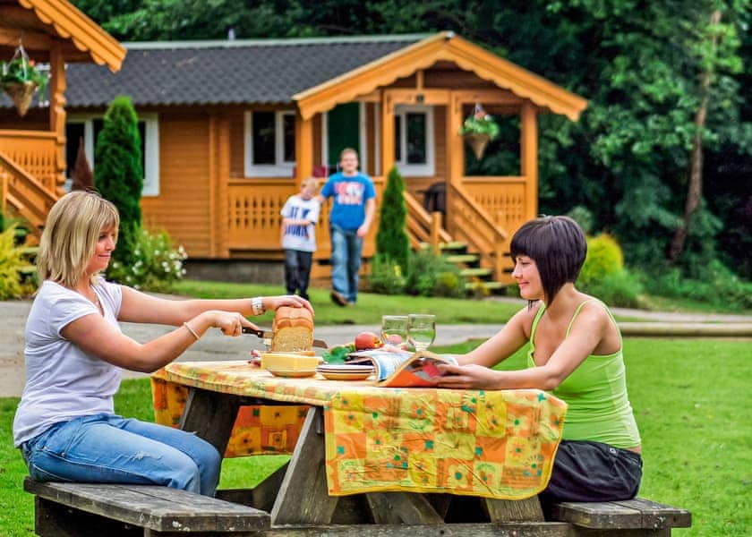 The park setting