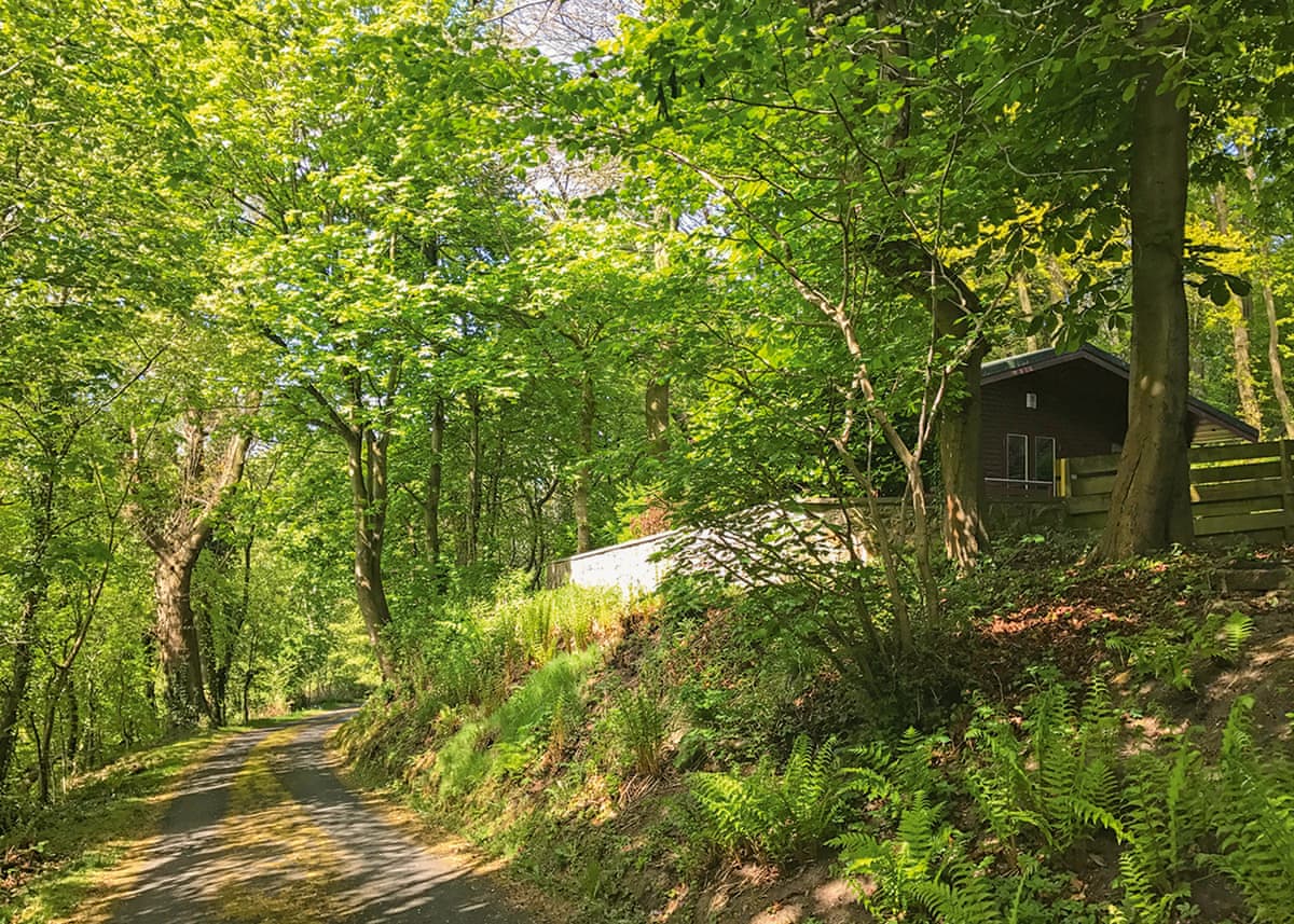 Hideaway Lodges - Holiday Lodge in Southern Scotland - Image 3