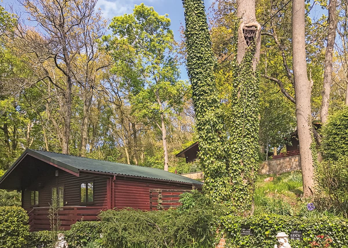 Hideaway Lodges - Holiday Lodge in Southern Scotland - Image 1