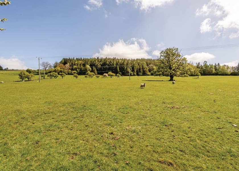 The park setting