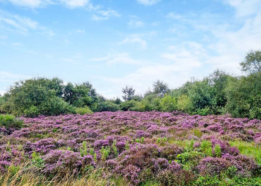 Highview Holiday Park, Coldingham