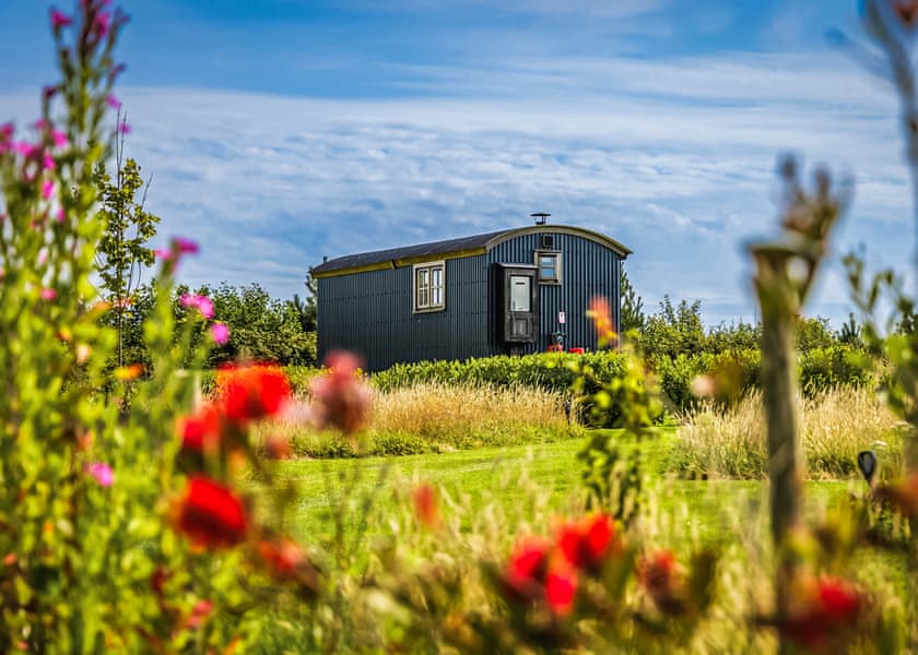 Willow - Headland Escape Glamping, Tenby