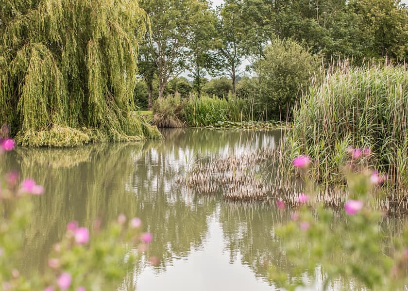 Hanworth Country Park, Potterhanworth