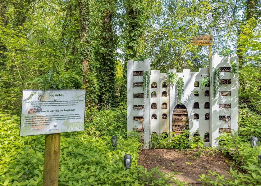 Holmans Wood, Chudleigh