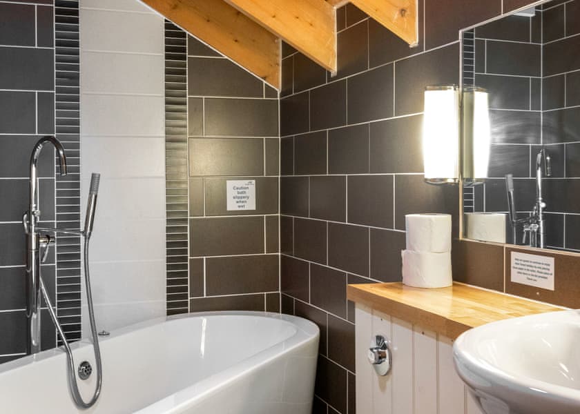 Classic Silver Birch 2 - Keldy, Nr Pickering