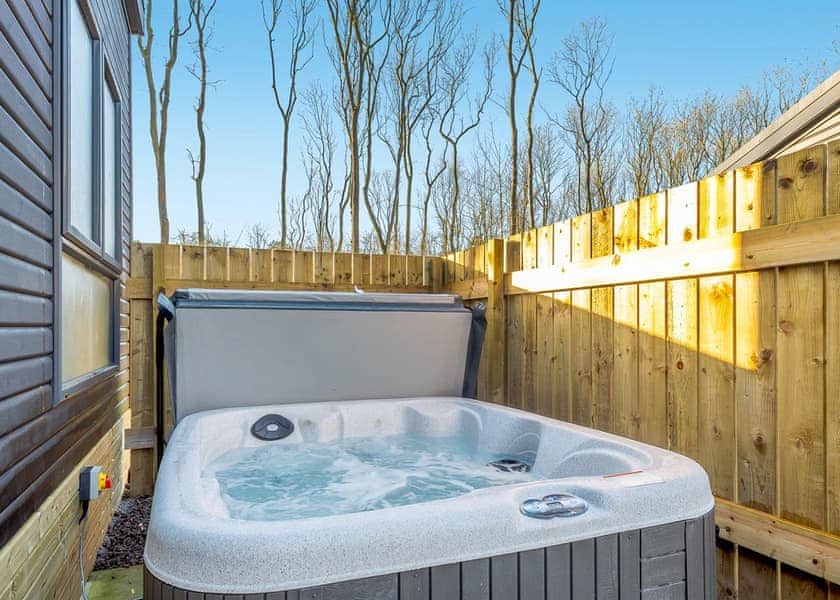 Tennyson Spa - Kenwick Woods, Louth, Lincolnshire Wolds
