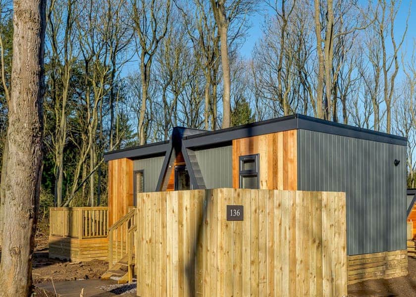 Tennyson Spa - Kenwick Woods, Louth, Lincolnshire Wolds