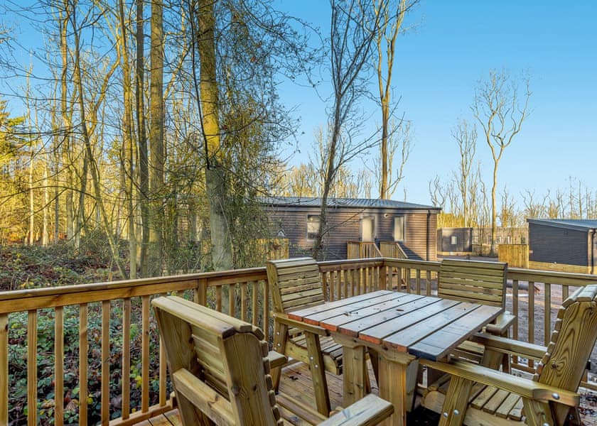 Horncastle Plus - Kenwick Woods, Louth, Lincolnshire Wolds