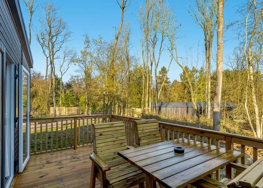 Anderby Spa - Kenwick Woods, Louth, Lincolnshire Wolds