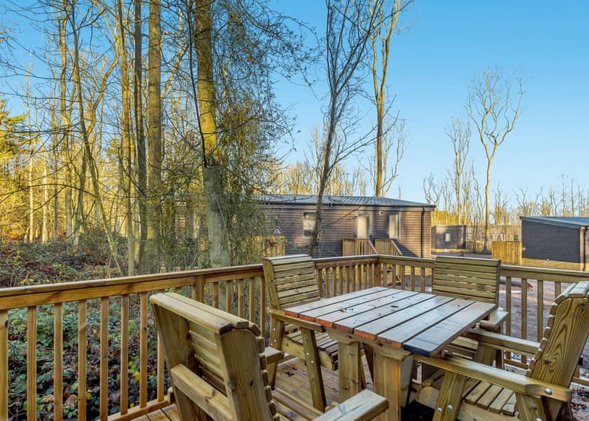 Horncastle Plus (Pet) - Kenwick Woods, Louth, Lincolnshire Wolds