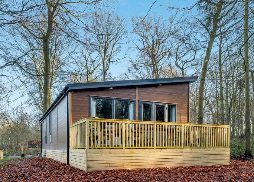 Stamford Spa (Pet) - Kenwick Woods, Louth, Lincolnshire Wolds