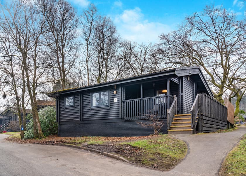 Catleugh Spa (Pet) - Kielder Waterside, Kielder Water and Forest Park