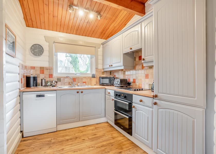 Catleugh Spa (Pet) - Kielder Waterside, Kielder Water and Forest Park