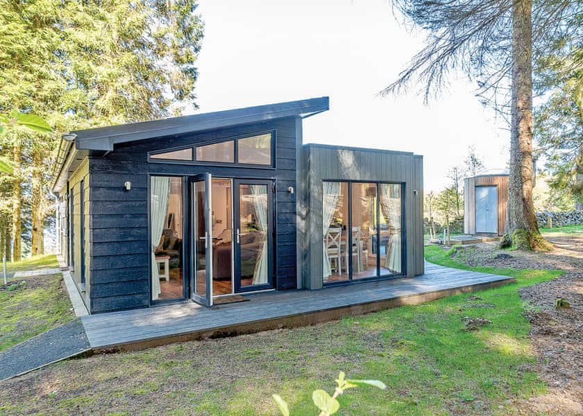 Beech Platinum Stars - Kielder Waterside, Kielder Water and Forest Park