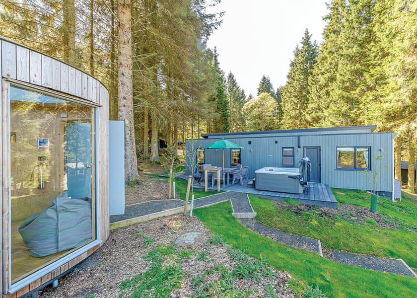 Beech Platinum Stars - Kielder Waterside, Kielder Water and Forest Park